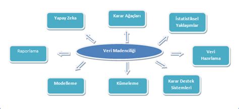 Bilgi Çalışmaları: Disiplinin Tarihçesi, Alanları ve Yöntemleri