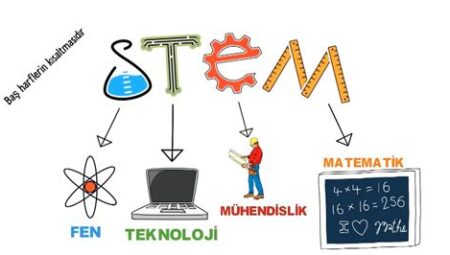 Eğitimde Stem Eğitimi ve Uygulamaları